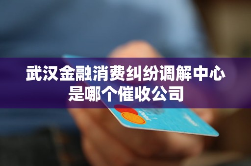 武汉金融消费纠纷调解中心是哪个催收公司