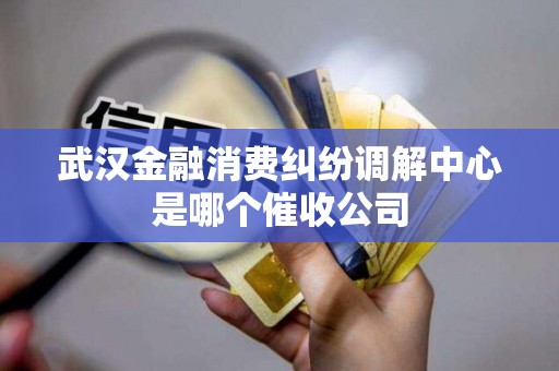 武汉金融消费纠纷调解中心是哪个催收公司