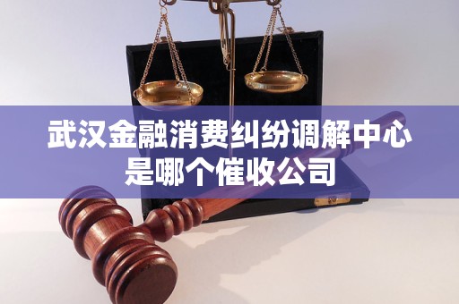 武汉金融消费纠纷调解中心是哪个催收公司
