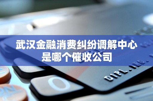 武汉金融消费纠纷调解中心是哪个催收公司
