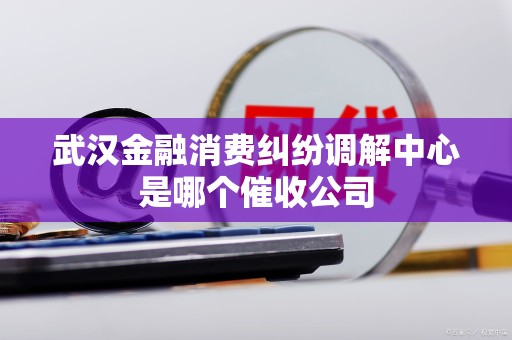武汉金融消费纠纷调解中心是哪个催收公司