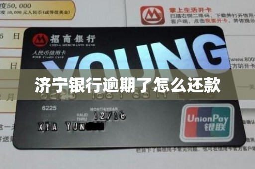 济宁银行逾期了怎么还款