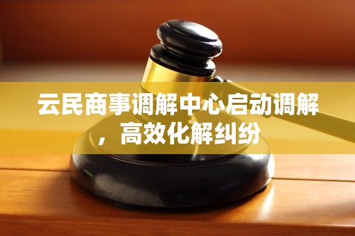 云民商事调解中心启动调解，高效化解纠纷
