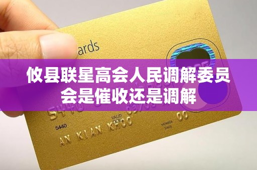 攸县联星高会人民调解委员会是催收还是调解