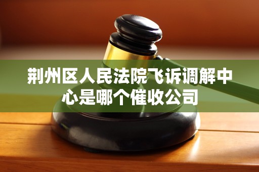 荆州区人民法院飞诉调解中心是哪个催收公司 荆州区人民法院飞诉调解中心是哪个催收公司