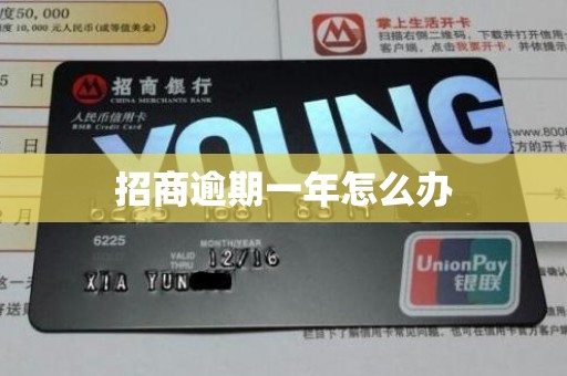 招商逾期一年怎么办 招商逾期一年怎么办