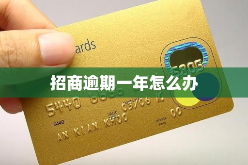 招商逾期一年怎么办 招商逾期一年怎么办
