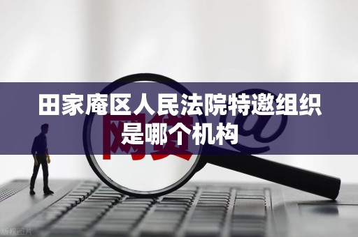田家庵区人民法院特邀组织是哪个机构