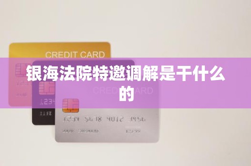 银海法院特邀调解是干什么的