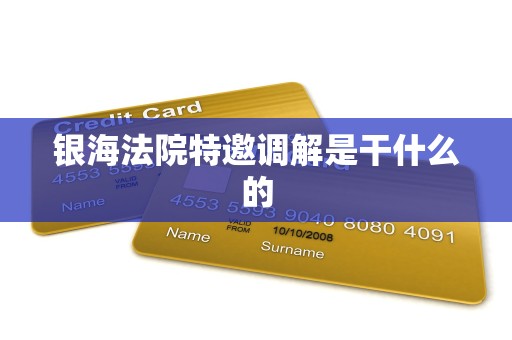 银海法院特邀调解是干什么的