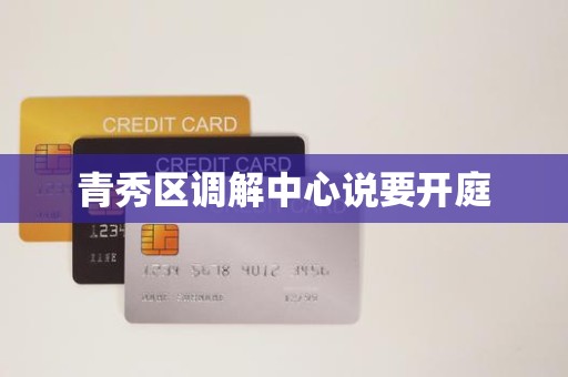 青秀区调解中心说要开庭