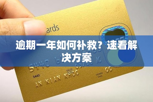 逾期一年如何补救？速看解决方案