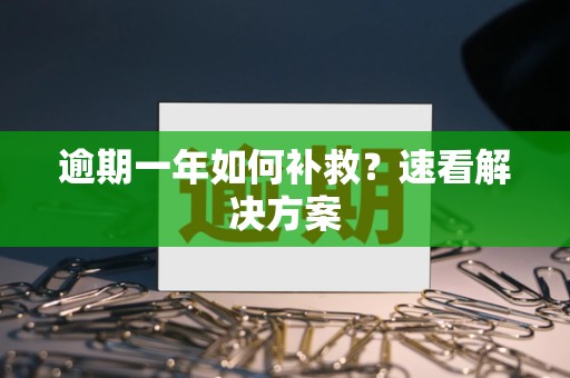 逾期一年如何补救？速看解决方案