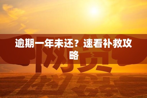 逾期一年未还？速看补救攻略