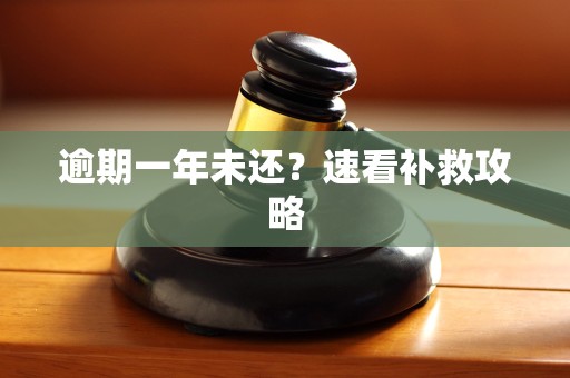 逾期一年未还？速看补救攻略