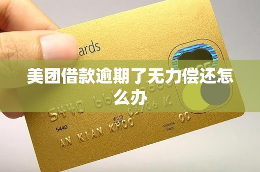 美团借款逾期了无力偿还怎么办