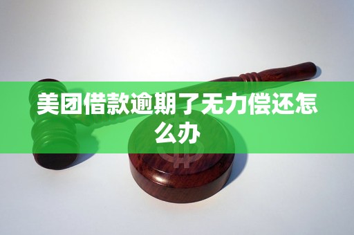 美团借款逾期了无力偿还怎么办