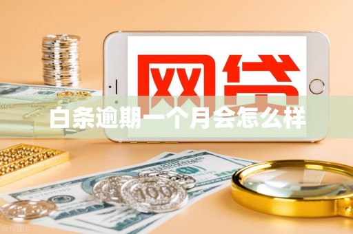 白条逾期一个月会怎么样