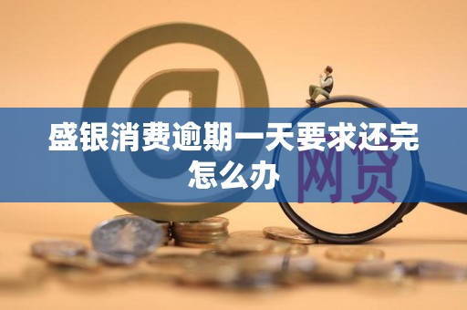 盛银消费逾期一天要求还完怎么办 盛银消费逾期一天要求还完怎么办