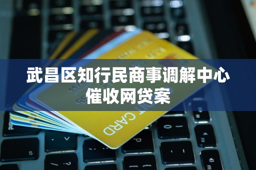 武昌区知行民商事调解中心催收网贷案 武昌区知行民商事调解中心催收网贷案