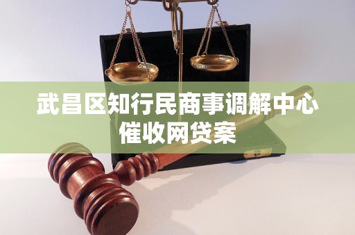 武昌区知行民商事调解中心催收网贷案 武昌区知行民商事调解中心催收网贷案