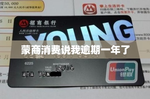 蒙商消费说我逾期一年了 蒙商消费说我逾期一年了