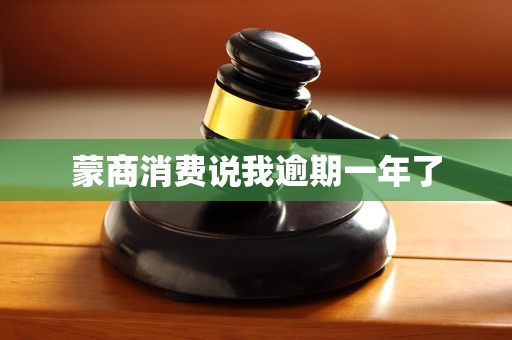 蒙商消费说我逾期一年了 蒙商消费说我逾期一年了