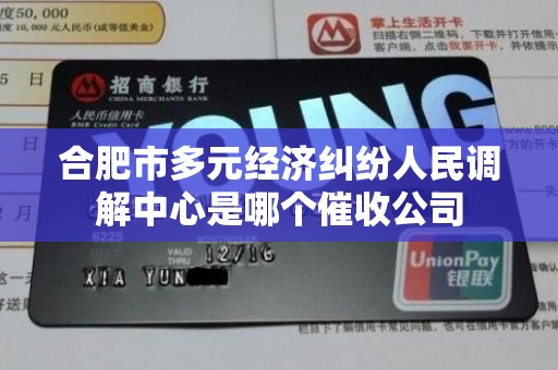合肥市多元经济纠纷人民调解中心是哪个催收公司 合肥市多元经济纠纷人民调解中心是哪个催收公司