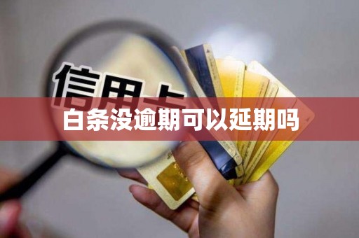 白条没逾期可以延期吗
