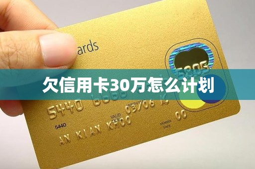欠信用卡30万怎么计划