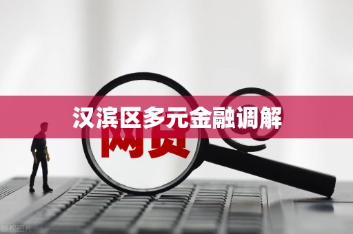 汉滨区多元金融调解