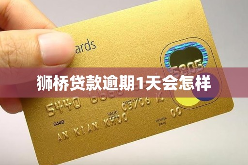 狮桥贷款逾期1天会怎样 狮桥贷款逾期1天会怎样