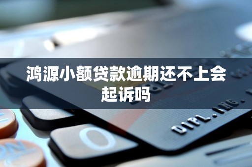 鸿源小额贷款逾期还不上会起诉吗