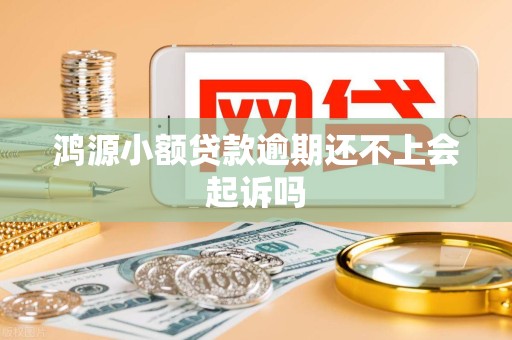 鸿源小额贷款逾期还不上会起诉吗