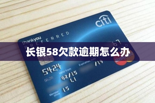 长银58欠款逾期怎么办