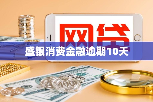 盛银消费金融逾期10天