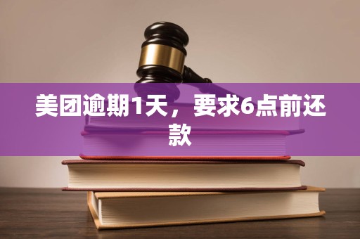 美团逾期1天，要求6点前还款