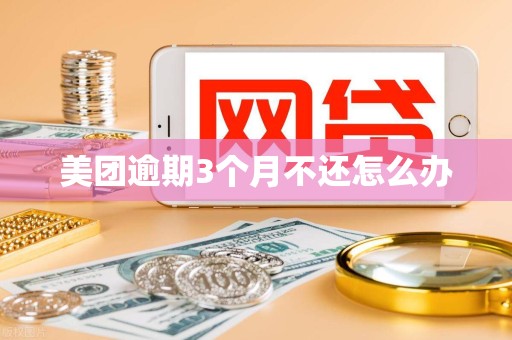 美团逾期3个月不还怎么办