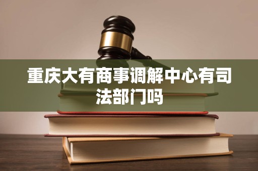 重庆大有商事调解中心有司法部门吗