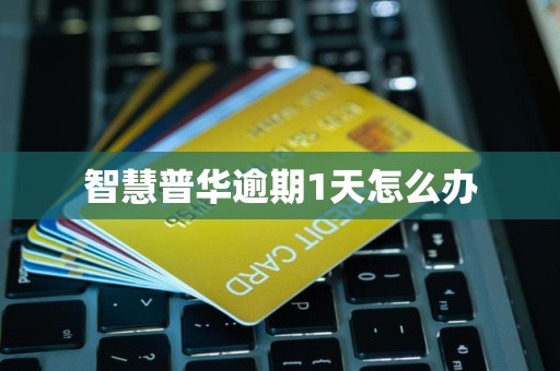 智慧普华逾期1天怎么办