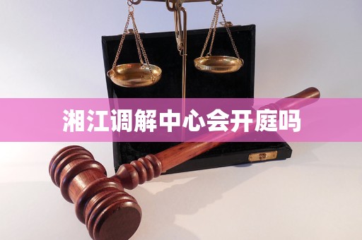 湘江调解中心会开庭吗
