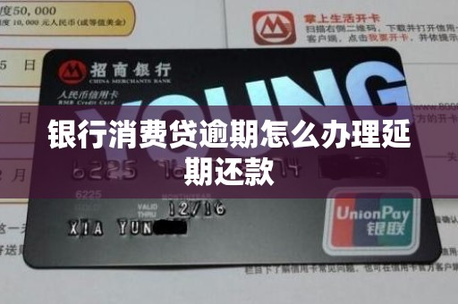 银行消费贷逾期怎么办理延期还款