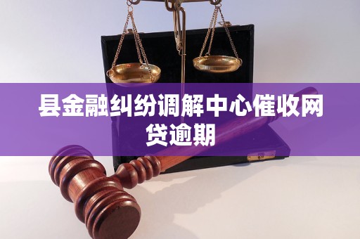 县金融纠纷调解中心催收网贷逾期