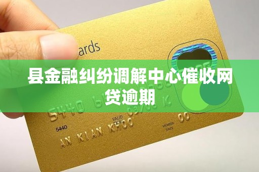 县金融纠纷调解中心催收网贷逾期