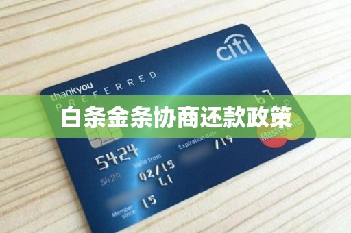 白条金条协商还款政策