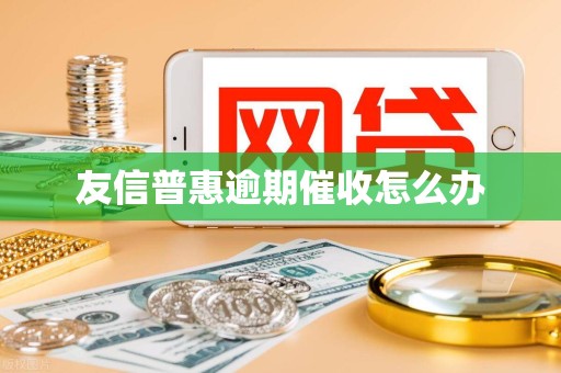 友信普惠逾期催收怎么办