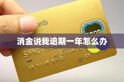 消金说我逾期一年怎么办