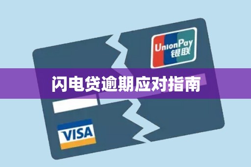 闪电贷逾期应对指南