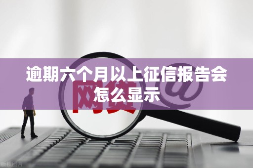逾期六个月以上征信报告会怎么显示