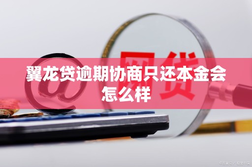 翼龙贷逾期协商只还本金会怎么样